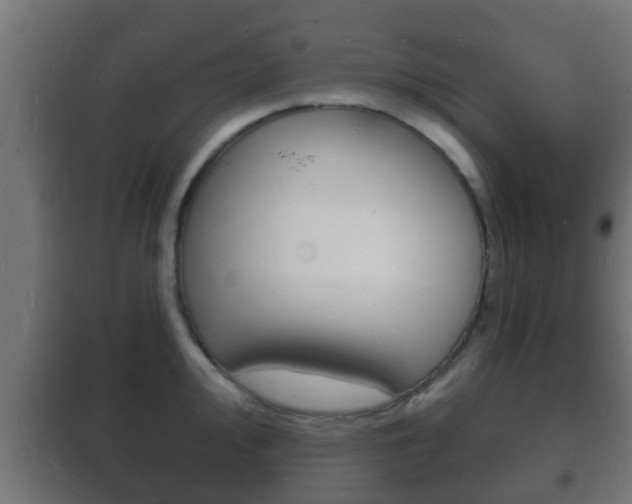 X0000102221000200807250742