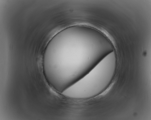 X0000102221001200807250742