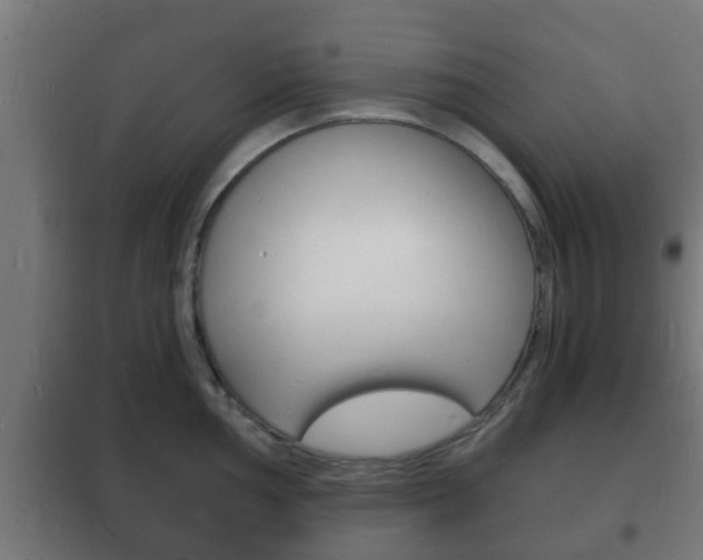 X0000102221002200807250742