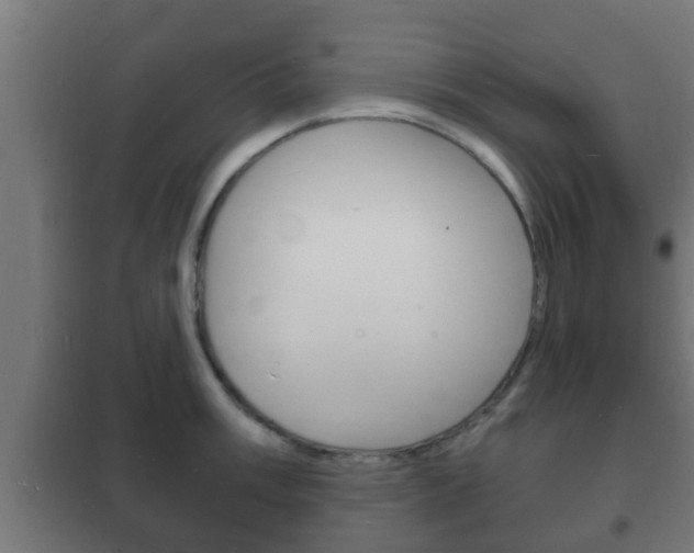 X0000102221003200807250742