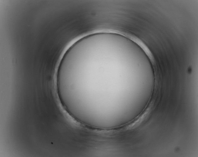 X0000102221004200807250742