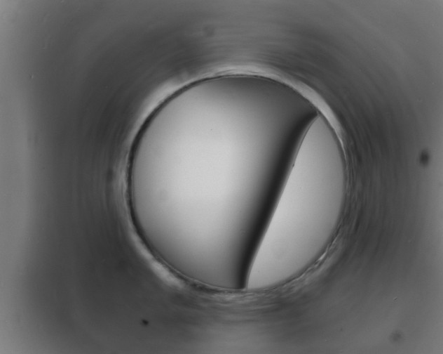 X0000102221005200807250742