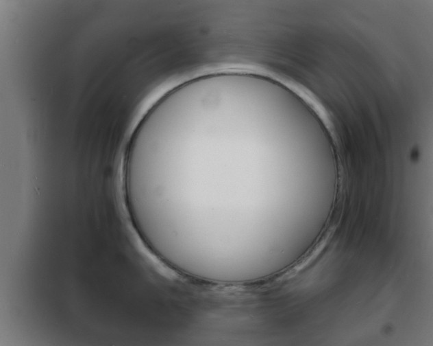 X0000102221006200807250742