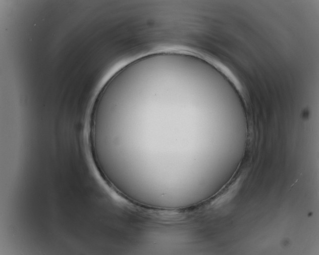 X0000102221007200807250742