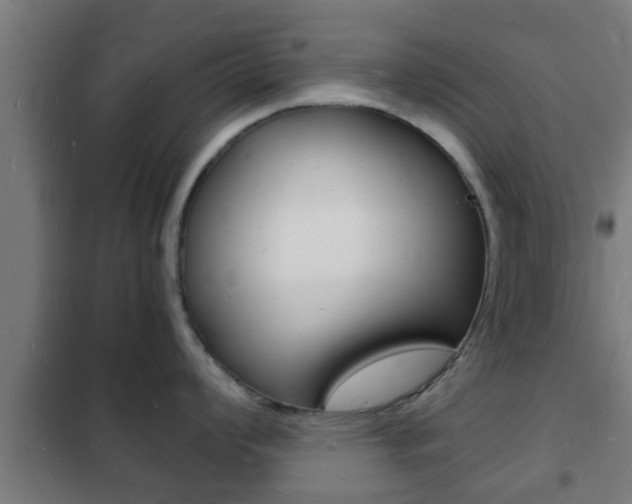 X0000102221008200807250742