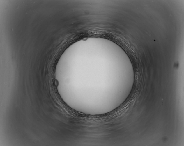 X0000102221009200807250741