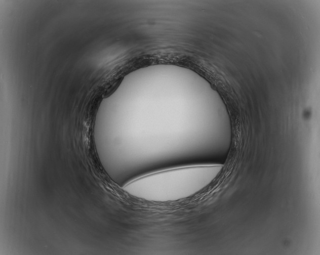 X0000102221010200807250741