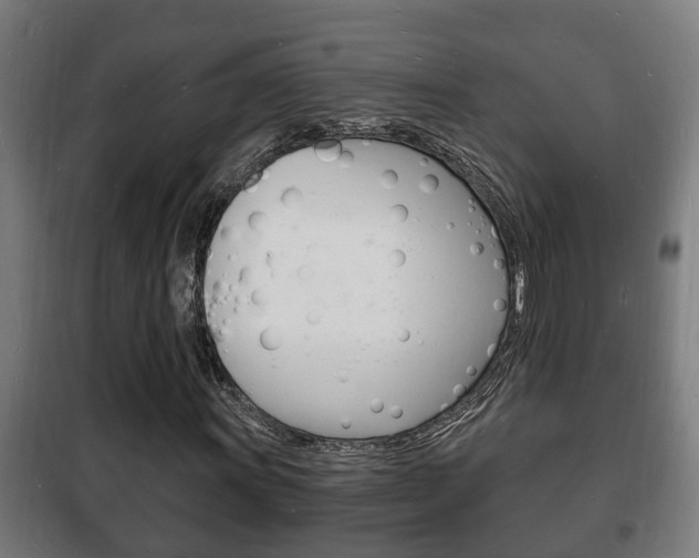 X0000102221011200807250741