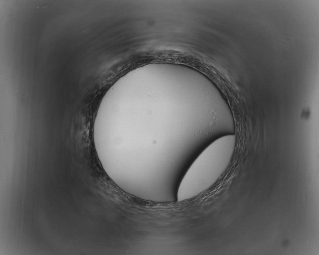 X0000102221013200807250741