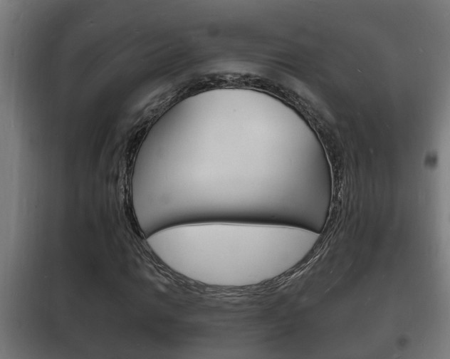 X0000102221014200807250741