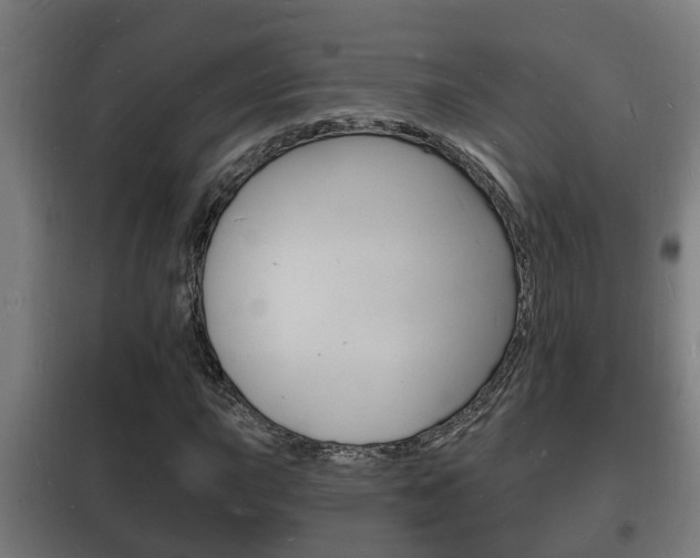 X0000102221015200807250741