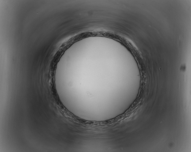 X0000102221016200807250741