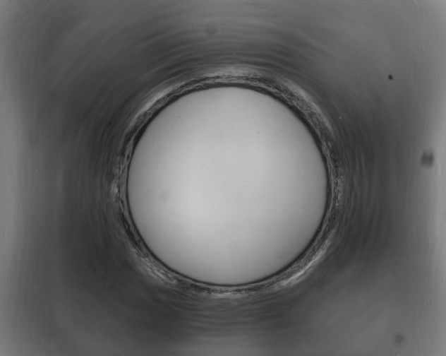 X0000102221017200807250741