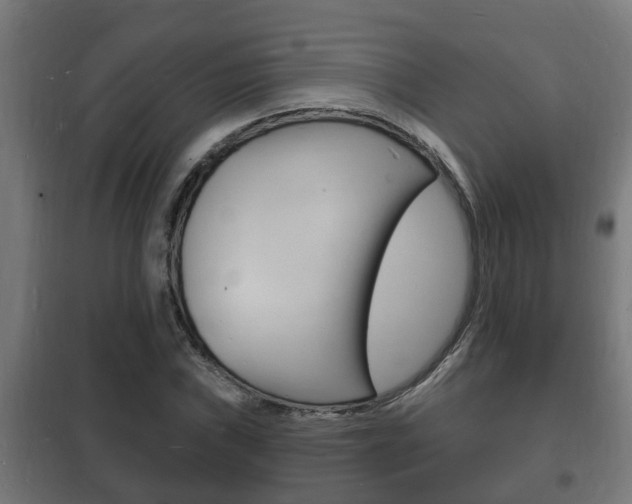 X0000102221019200807250741