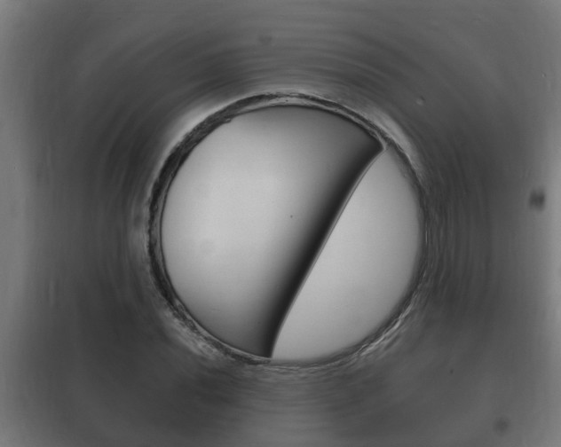 X0000102221020200807250741