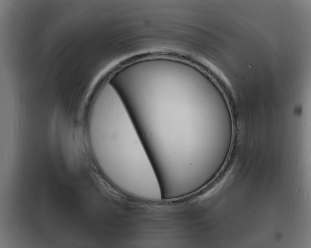 X0000102221021200807250741