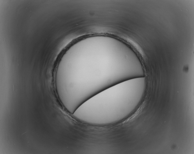 X0000102221023200807250741