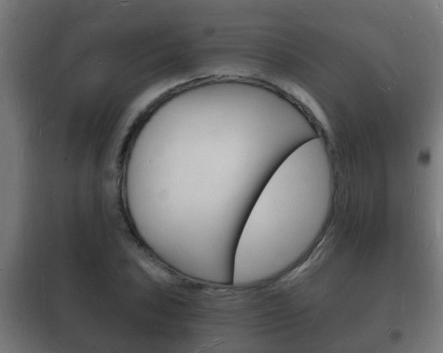 X0000102221027200807250741
