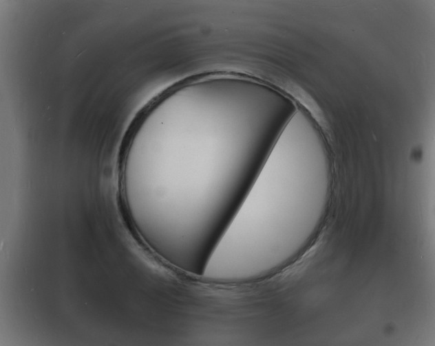 X0000102221028200807250741