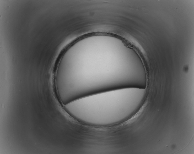 X0000102221029200807250741