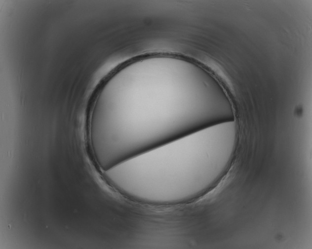 X0000102221030200807250741