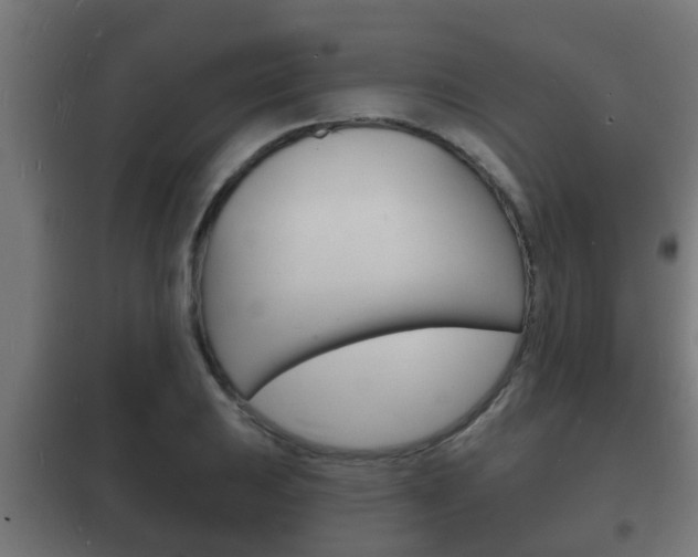 X0000102221031200807250741
