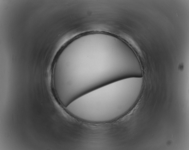X0000102221032200807250741