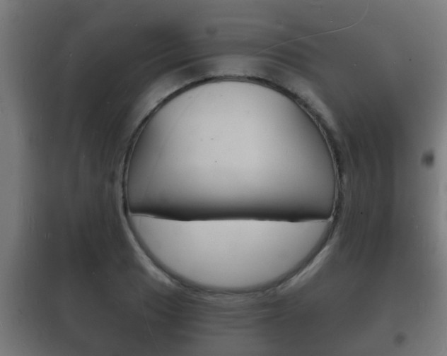 X0000102221033200807250741