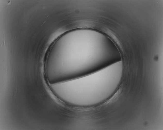 X0000102221034200807250741