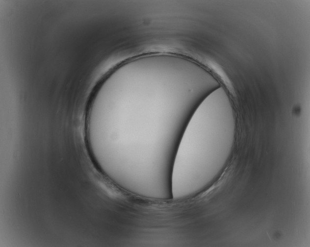 X0000102221035200807250741