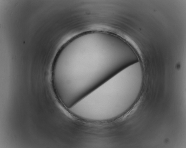 X0000102221037200807250741