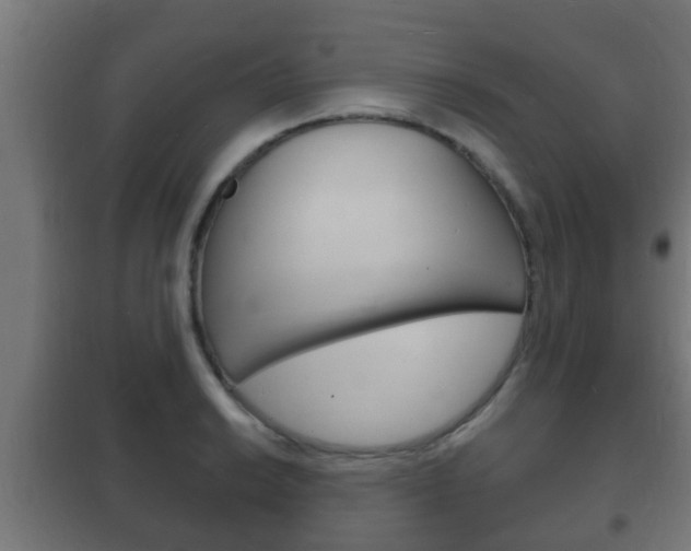 X0000102221038200807250741