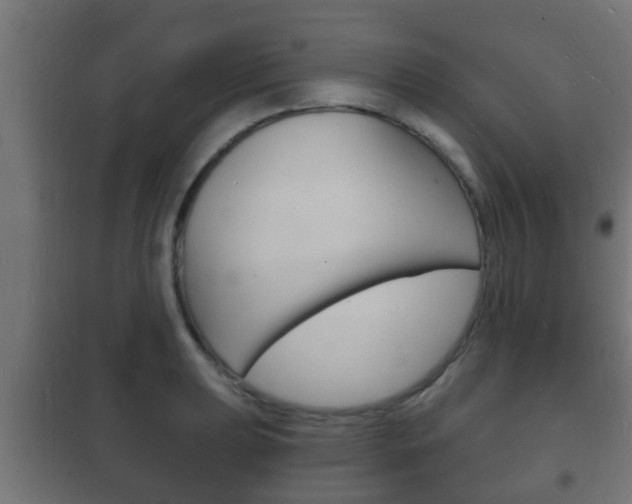 X0000102221039200807250741