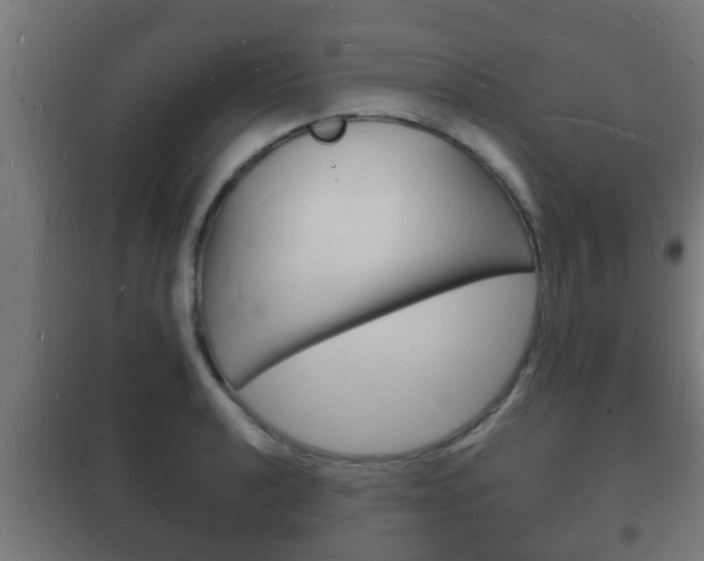 X0000102221040200807250741