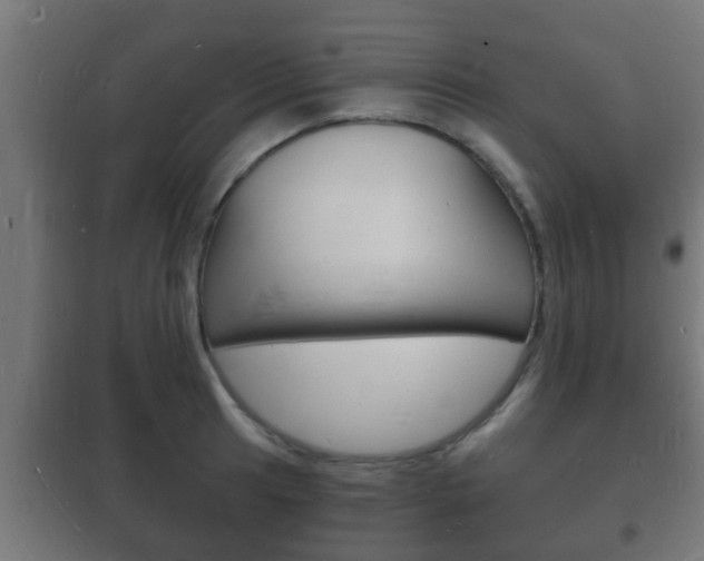 X0000102221041200807250741