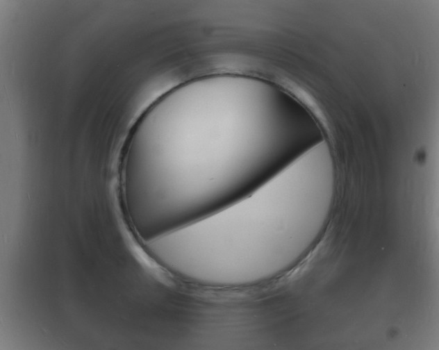 X0000102221042200807250741