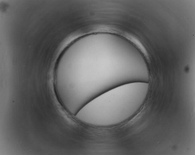 X0000102221043200807250741