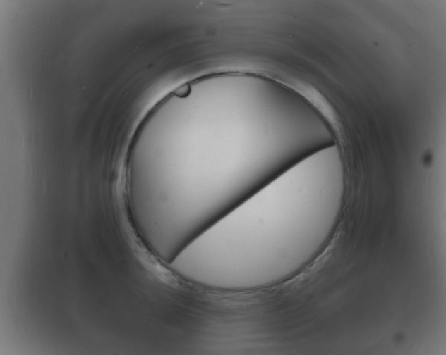 X0000102221044200807250741