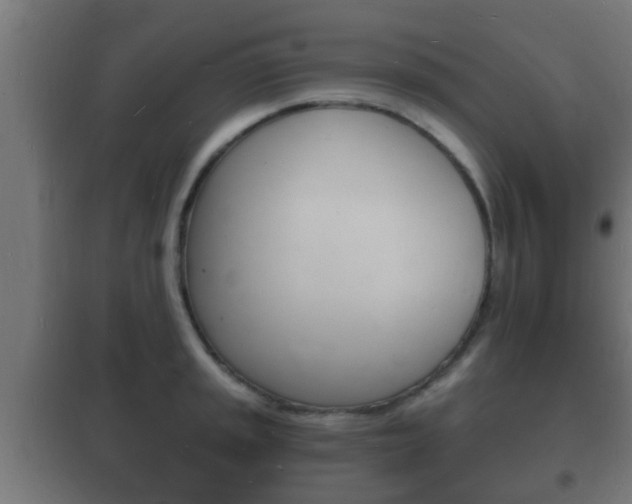 X0000102221045200807250741
