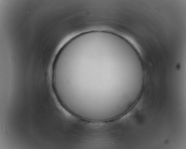 X0000102221046200807250741