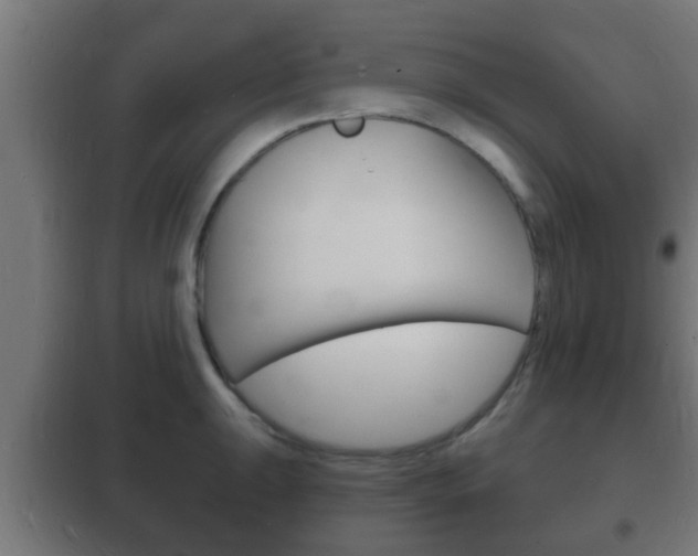 X0000102221047200807250741