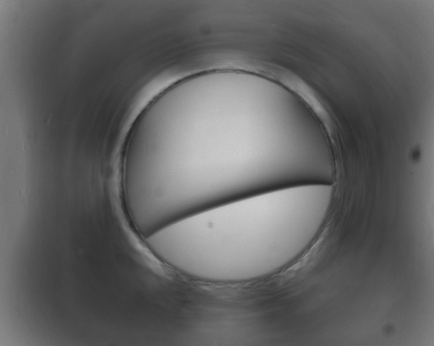 X0000102221048200807250741