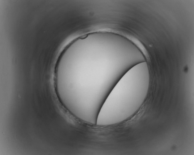 X0000102221051200807250741