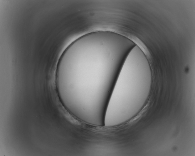 X0000102221052200807250742