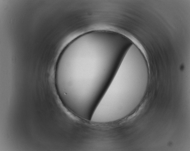 X0000102221053200807250742