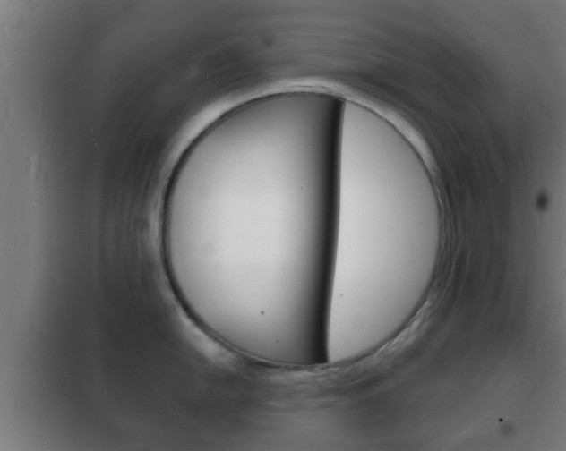X0000102221054200807250742