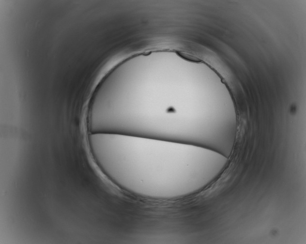 X0000102221055200807250742