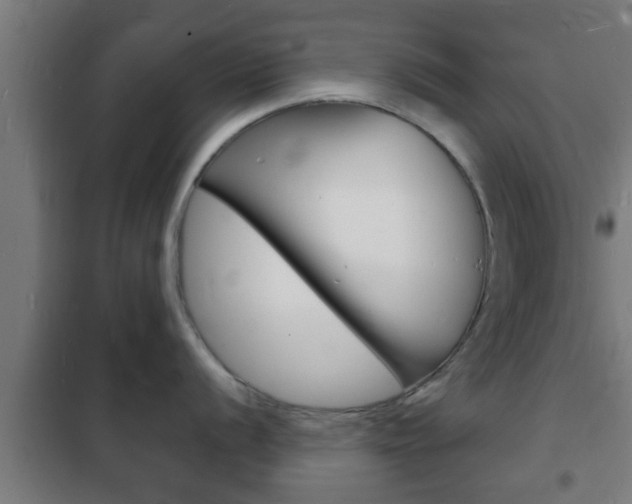 X0000102221056200807250742