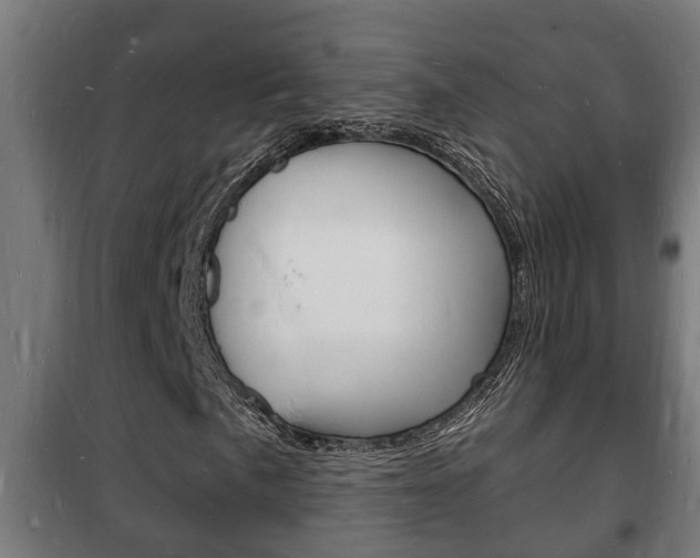 X0000102221057200807250741