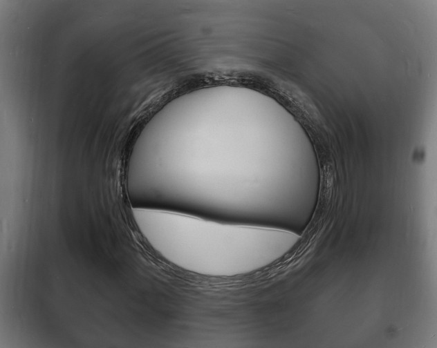 X0000102221060200807250741